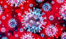 Koronavirus - COVID-19 souhrnné informace