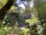 Příroda v Tasmánii